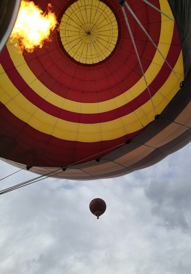 Fly High