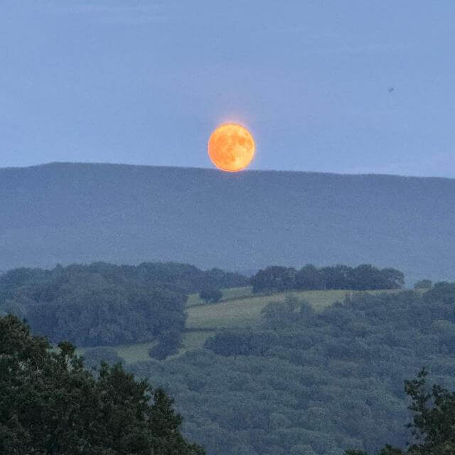 Pink Moon